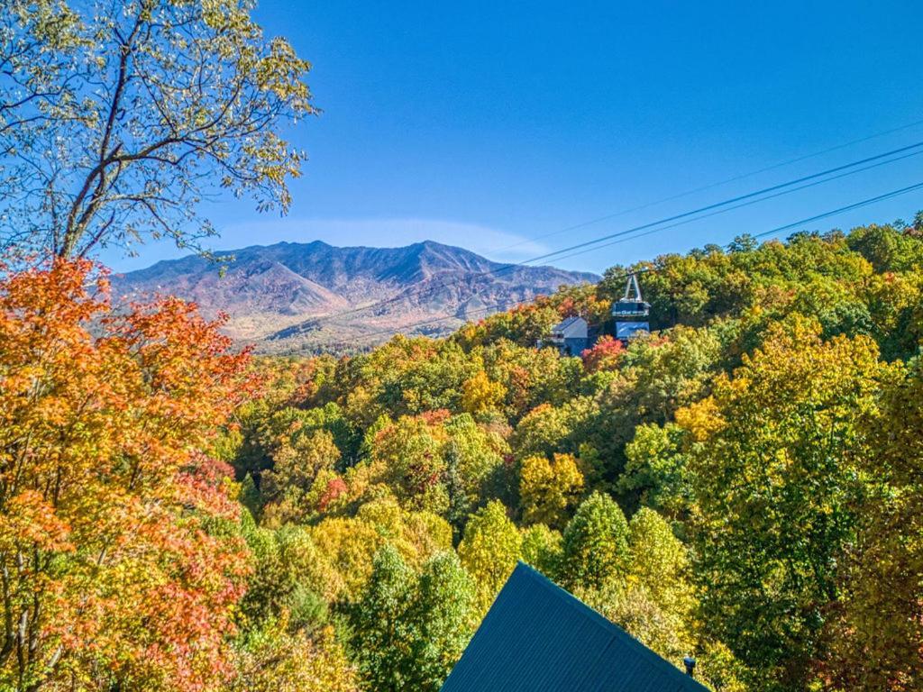 Four Bears Den Villa Gatlinburg Eksteriør billede