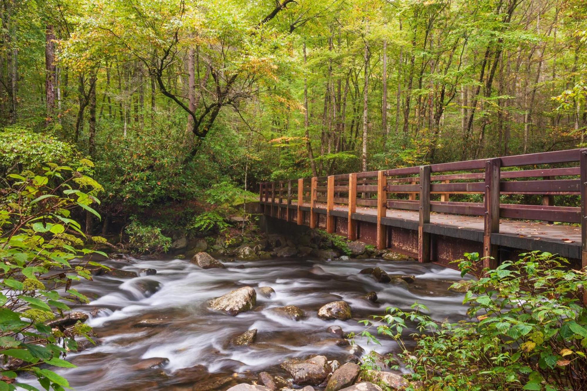 Four Bears Den Villa Gatlinburg Eksteriør billede